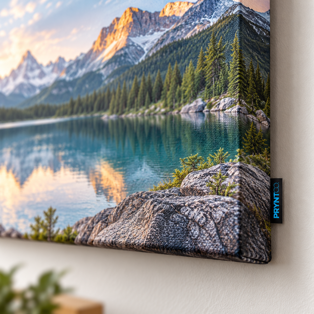 Stretched Canvas Prints 2