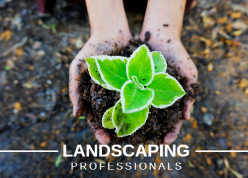 Landscaping - Single Sided