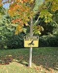 Caution: Bees at Work - sign 1