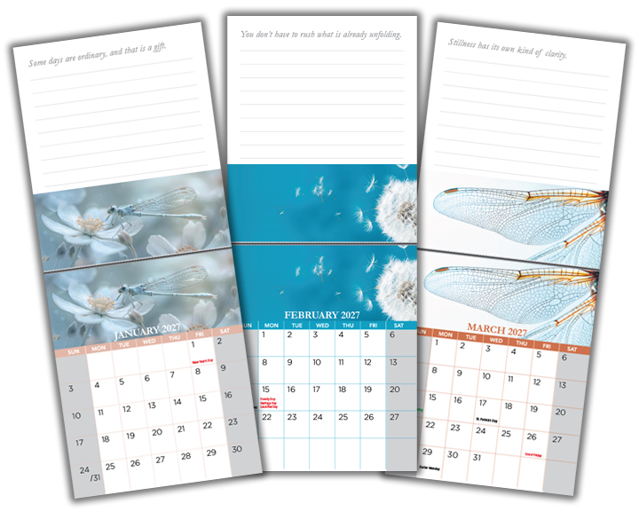 2027 Calendars (Magnetic) 4