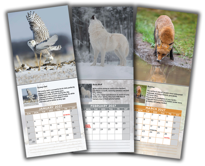 2027 Calendars (Magnetic) 2