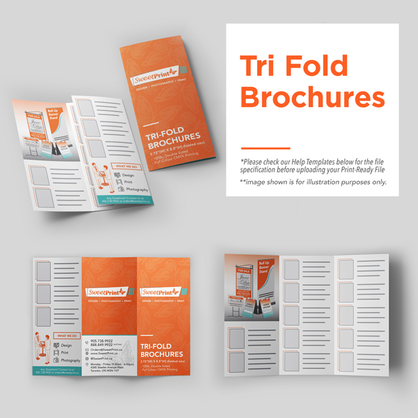 Tri-Fold Brochures