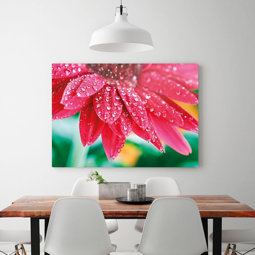 Metal Prints