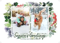 Season's Greetings