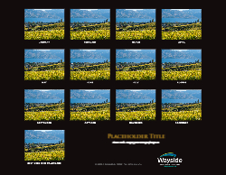 2027 Calendar - Ad Banner