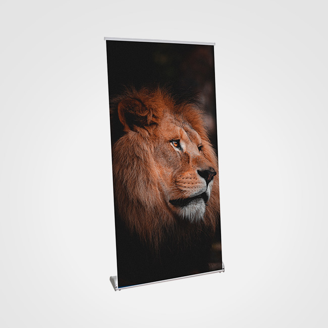 Retractable Banner Stand - Pacific