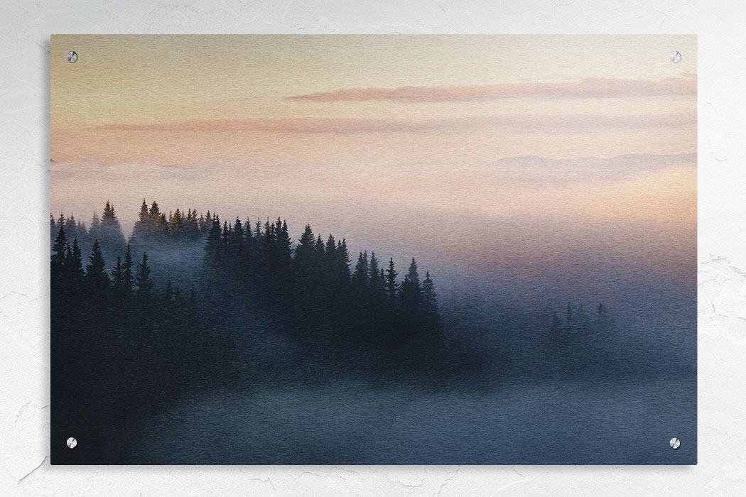 36" x 24"