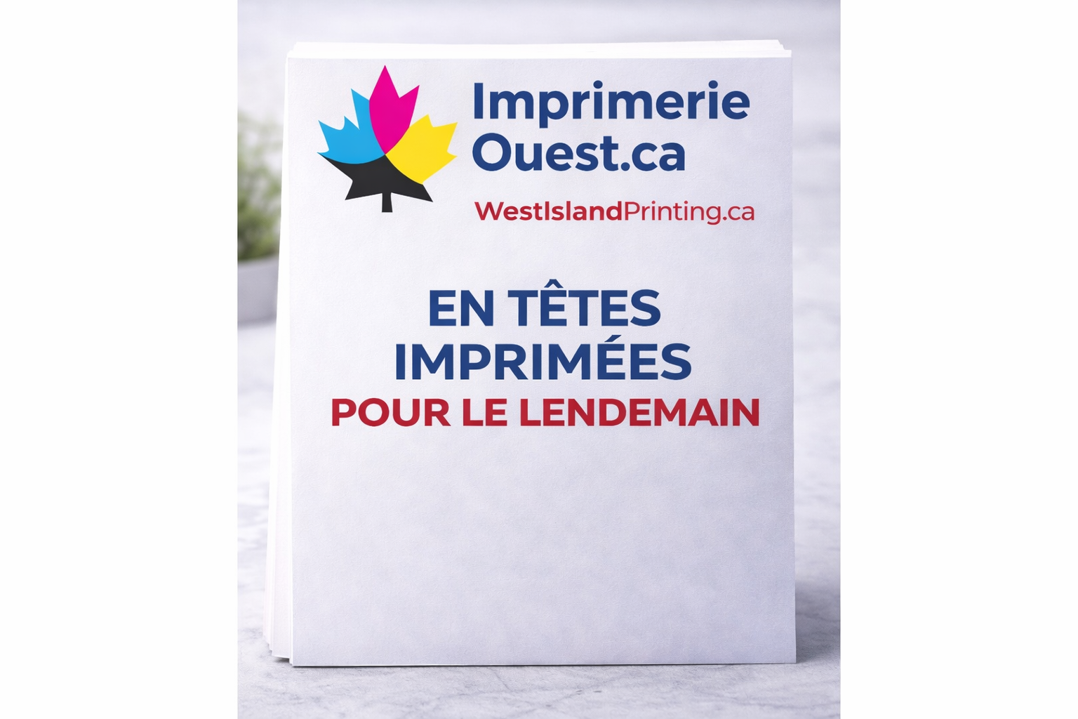 https://d241k1re3tsyhu.cloudfront.net/westislan/images/product/Impression_rapide_pour_demain.png