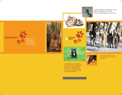 Brochure-18