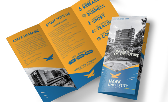 Brochures Preview