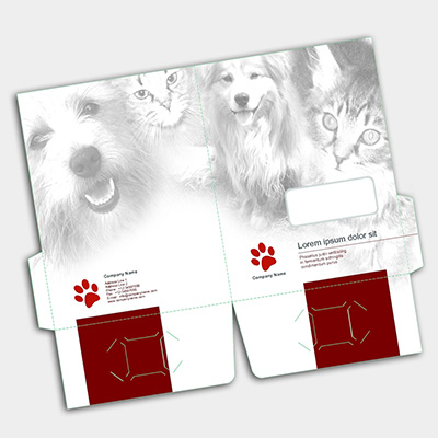 Presentation Folder Preview