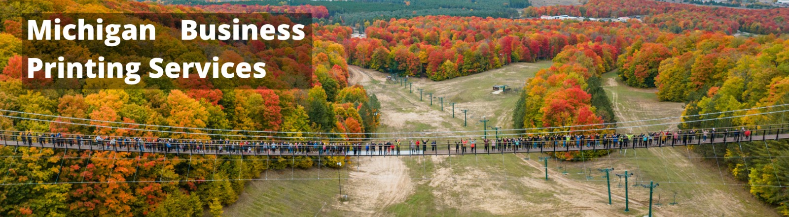 Michigan_Business_Service_1707627521669.jpeg