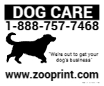 Dog Care 12202024-1