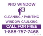 WINDOW PAINTING