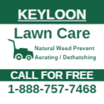 Lawn Care 10