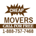 Movers 1