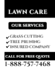 Lawn Care 31