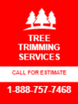 Lawn Care 41